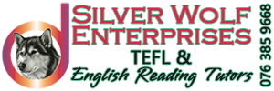 Tutor for English Reading - 4 years to 104 years, struggling and emerging readers as well as those with dyslexia.